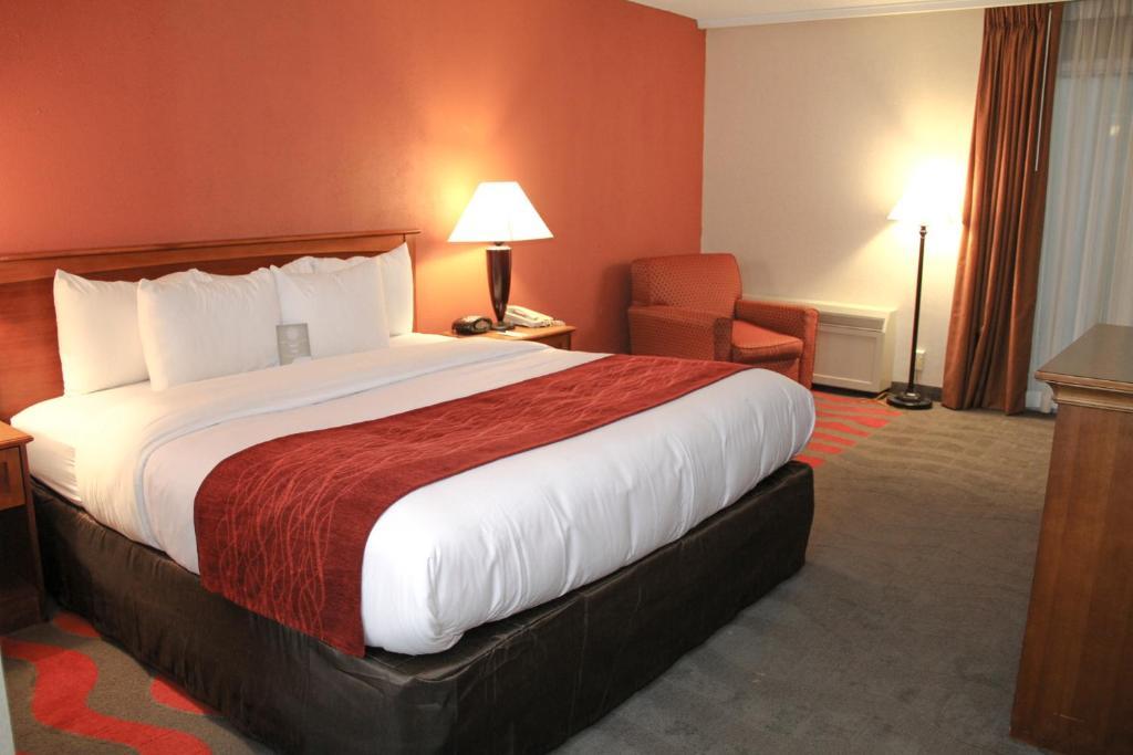 Comfort Inn & Suites Airport Syracuse Chambre photo